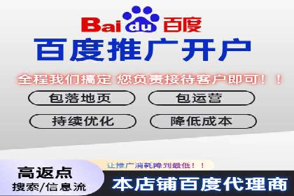 百度SEO推广：从零到一的成长案例